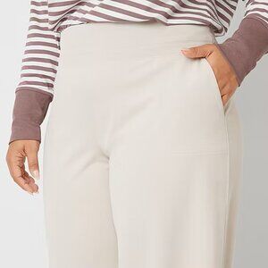 Stylus size 1X high rise, regular fit wide leg pants - NWOT